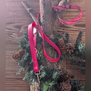 Biothane Leash